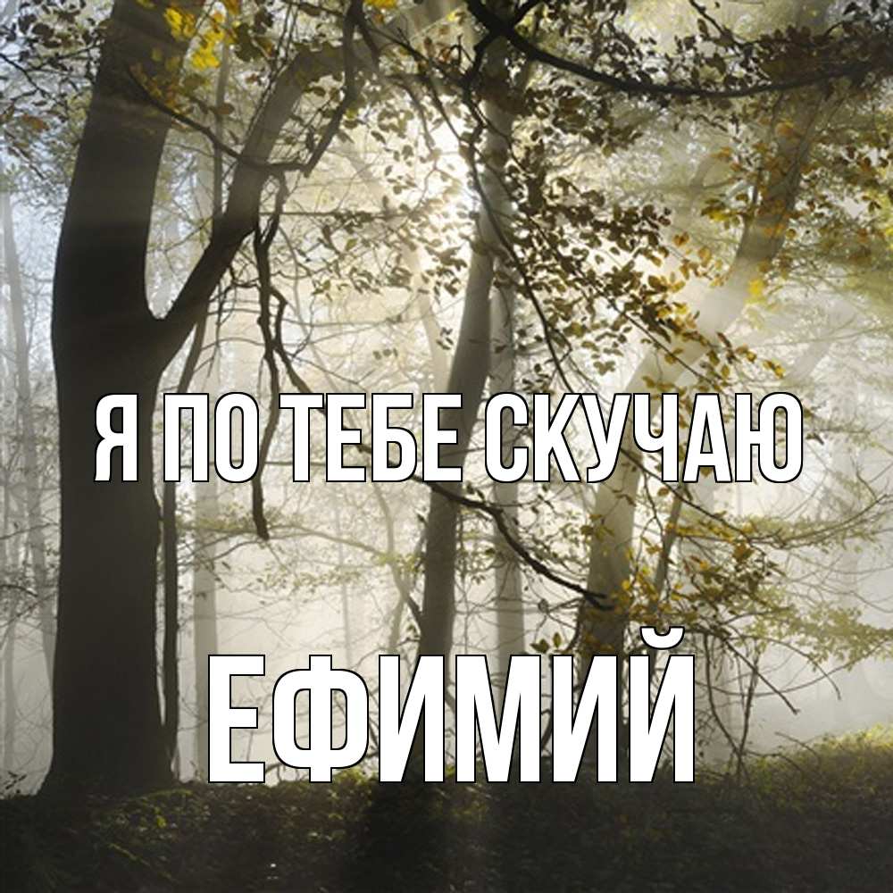 Открытка на каждый день с именем, Ефимий Я по тебе скучаю грустно Прикольная открытка с пожеланием онлайн скачать бесплатно 