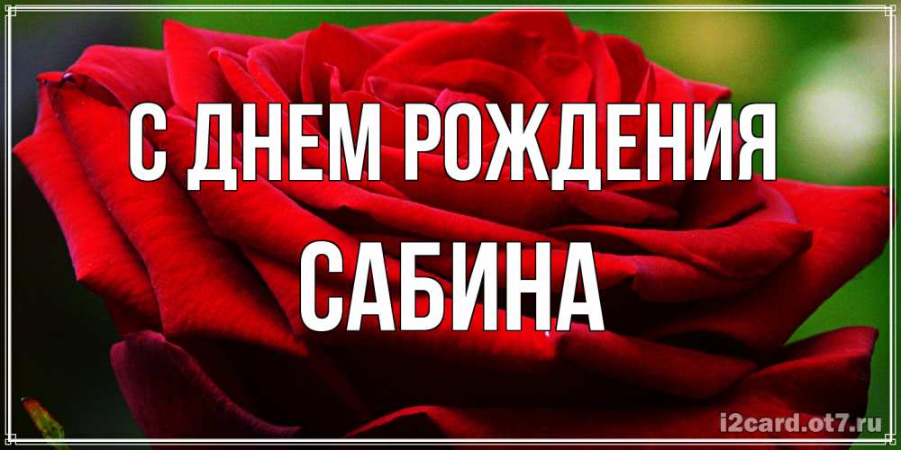 Открытка на каждый день с именем, Сабина С днем рождения розочка очень красивая Прикольная открытка с пожеланием онлайн скачать бесплатно 