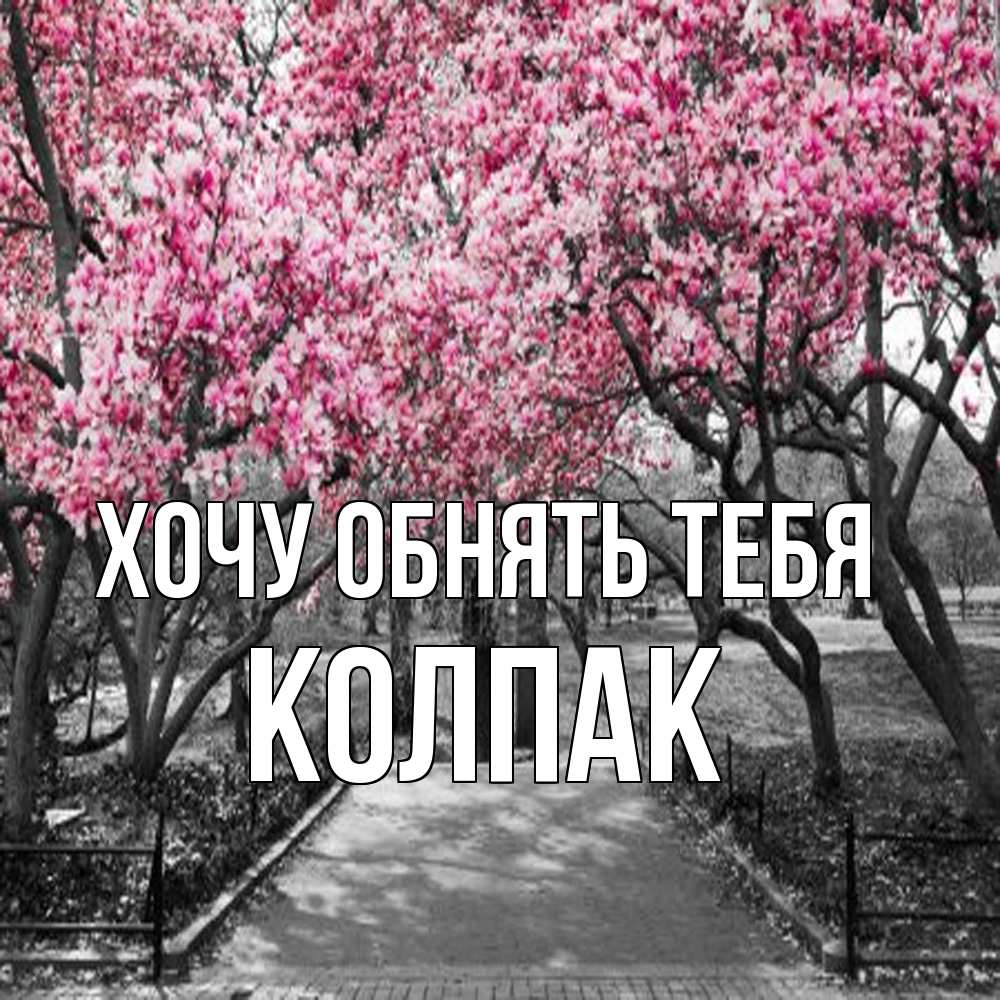 Открытка на каждый день с именем, Колпак Хочу обнять тебя обработанное фото Прикольная открытка с пожеланием онлайн скачать бесплатно 