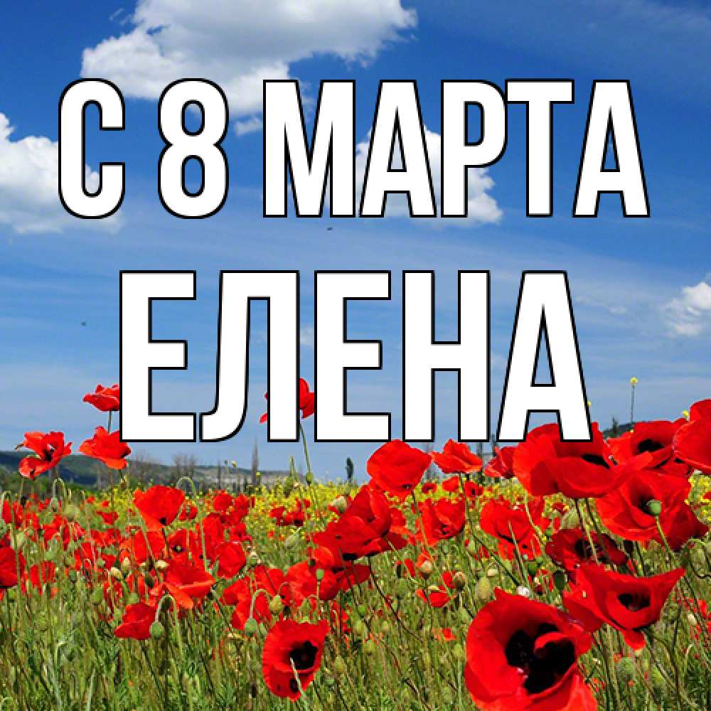 Открытка на каждый день с именем, Елена C 8 МАРТА международный женский день 1 Прикольная открытка с пожеланием онлайн скачать бесплатно 