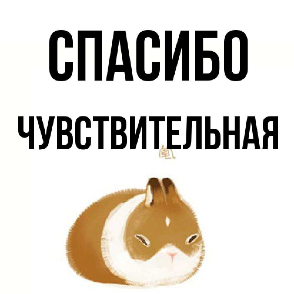 Открытка на каждый день с именем, Чувствительная Спасибо коричнево белый домашний питомец Прикольная открытка с пожеланием онлайн скачать бесплатно 
