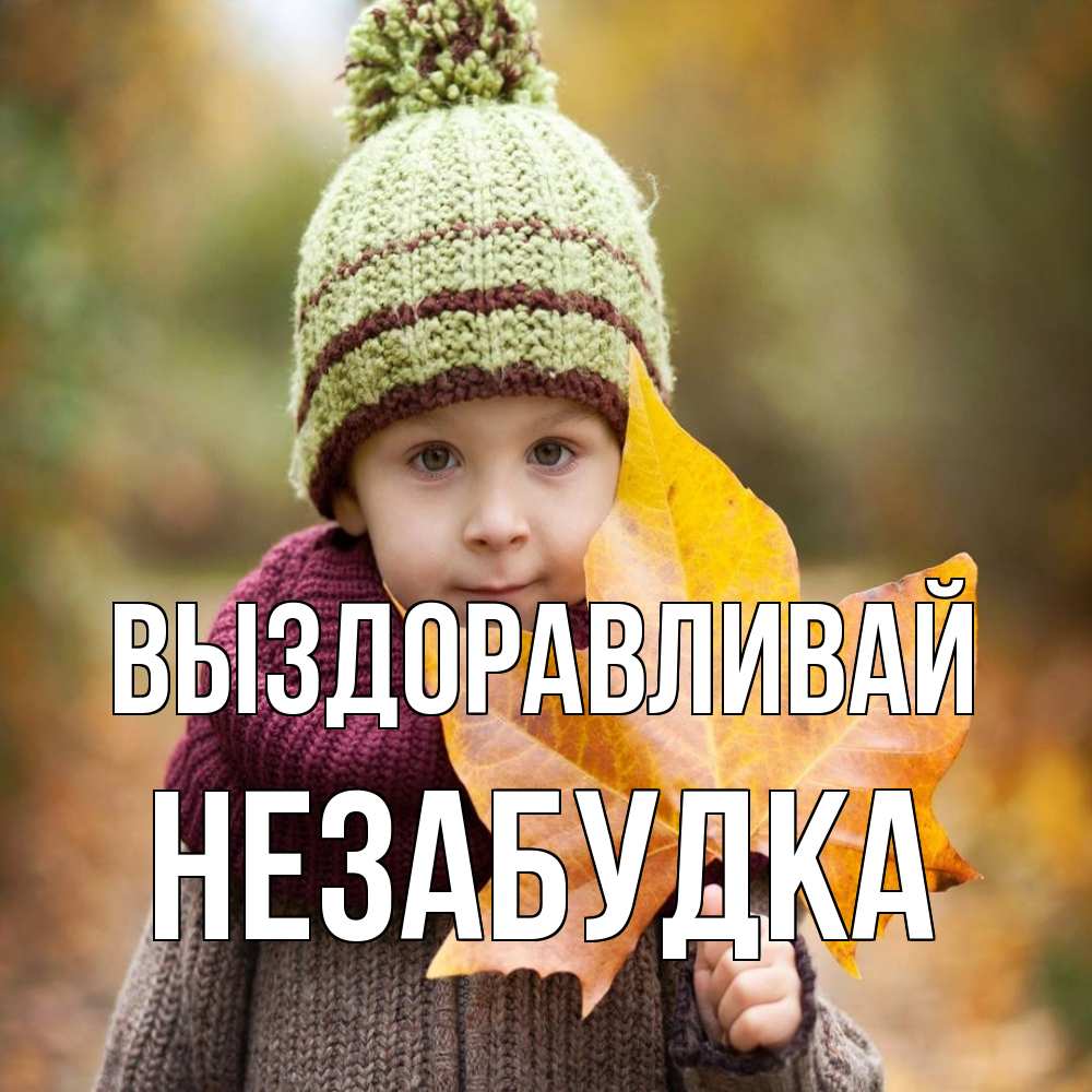 Открытка на каждый день с именем, Незабудка Выздоравливай дышим свежим воздухом Прикольная открытка с пожеланием онлайн скачать бесплатно 