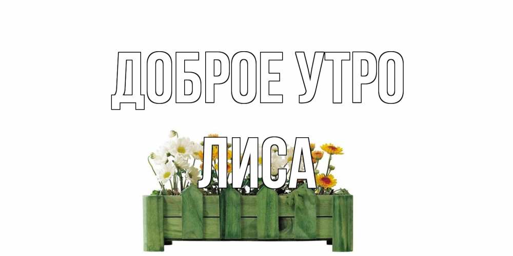 Открытка на каждый день с именем, лиса Доброе утро цветы Прикольная открытка с пожеланием онлайн скачать бесплатно 