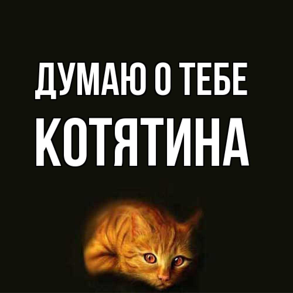 Открытка на каждый день с именем, Котятина Думаю о тебе рыжий Прикольная открытка с пожеланием онлайн скачать бесплатно 