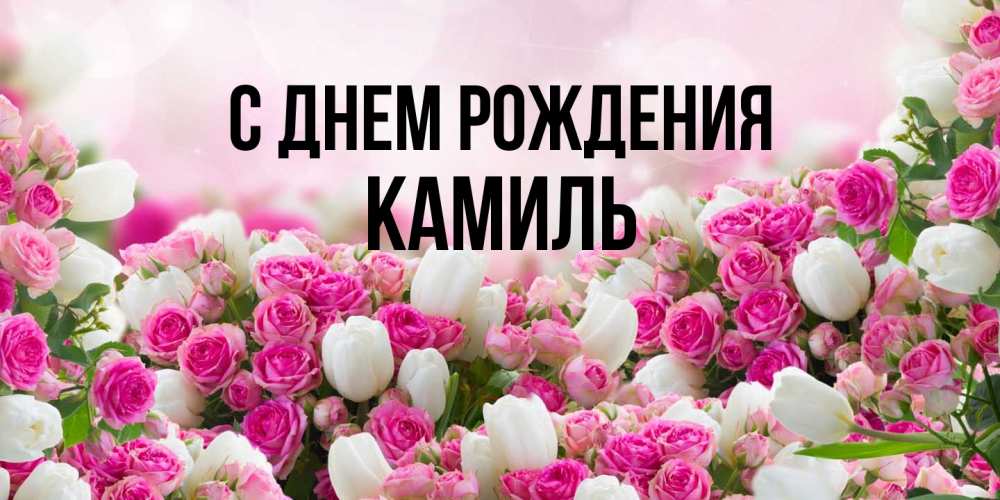 Открытка на каждый день с именем, Камиль С днем рождения открытка с разными розами Прикольная открытка с пожеланием онлайн скачать бесплатно 
