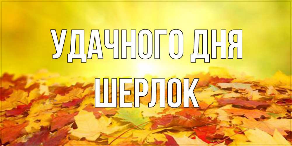 Открытка на каждый день с именем, Шерлок Удачного дня пожелания удачного дня Прикольная открытка с пожеланием онлайн скачать бесплатно 