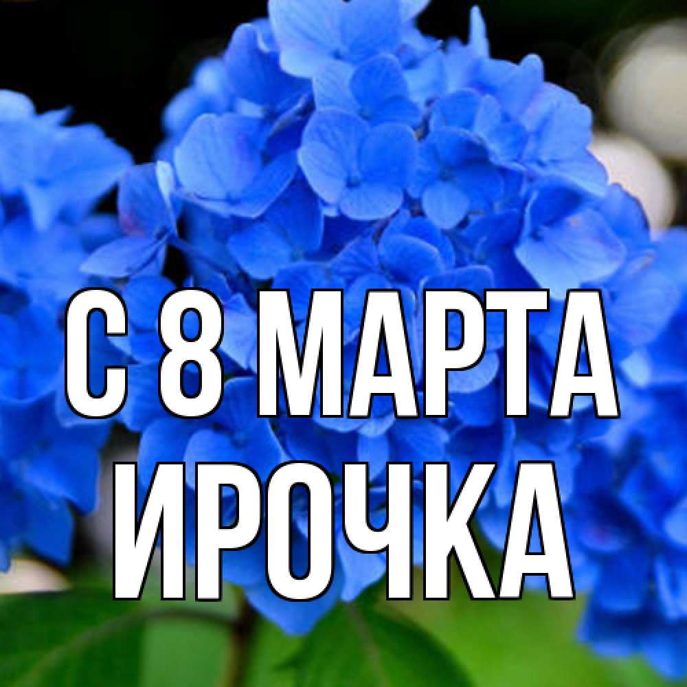 Открытка на каждый день с именем, Ирочка C 8 МАРТА синие цветы Прикольная открытка с пожеланием онлайн скачать бесплатно 