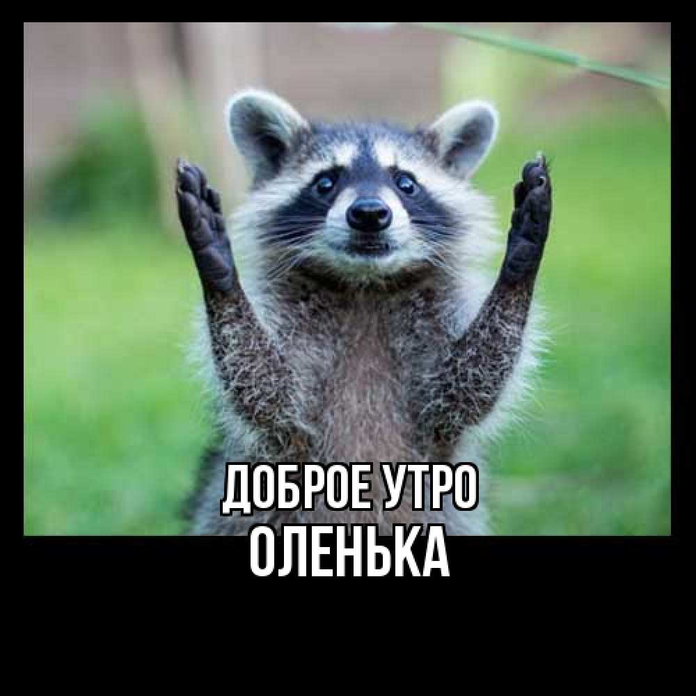 Открытка на каждый день с именем, Оленька Доброе утро хорошее настроение утречком Прикольная открытка с пожеланием онлайн скачать бесплатно 
