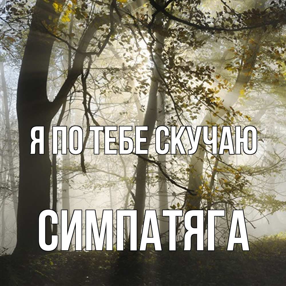 Открытка на каждый день с именем, Симпатяга Я по тебе скучаю грустно Прикольная открытка с пожеланием онлайн скачать бесплатно 