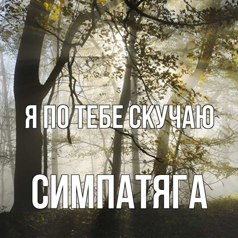 Картинка Я по тебе скучаю, Симпатяга