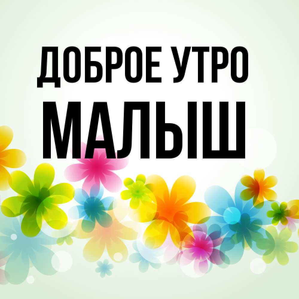 Открытка на каждый день с именем, Малыш Доброе утро позитивные цветочки Прикольная открытка с пожеланием онлайн скачать бесплатно 