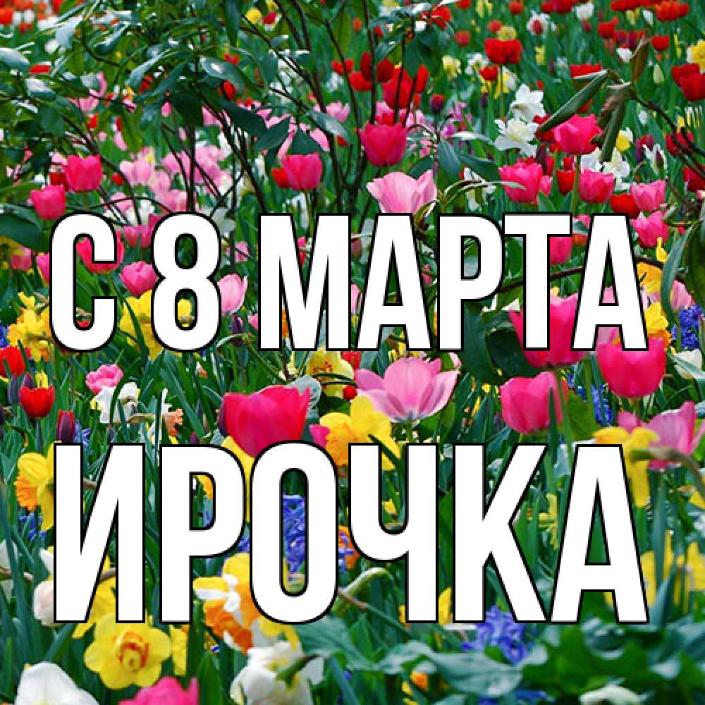 Открытка на каждый день с именем, Ирочка C 8 МАРТА с международным женским днем поздравления для женщины Прикольная открытка с пожеланием онлайн скачать бесплатно 