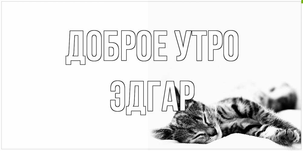 Открытка на каждый день с именем, Эдгар Доброе утро котуся Прикольная открытка с пожеланием онлайн скачать бесплатно 