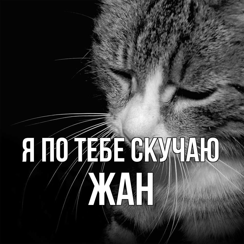 Открытка на каждый день с именем, Жан Я по тебе скучаю мне скучно Прикольная открытка с пожеланием онлайн скачать бесплатно 