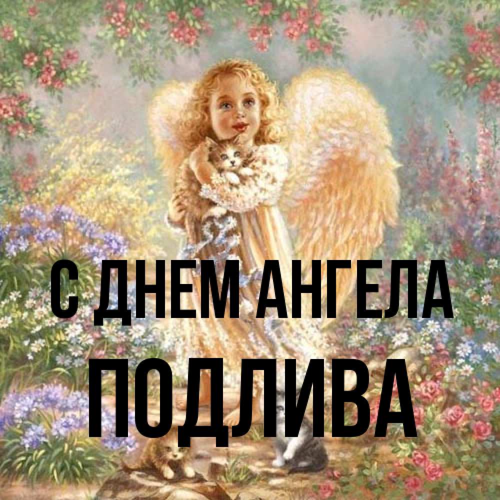 Открытка на каждый день с именем, Подлива С днем ангела держит котенка Прикольная открытка с пожеланием онлайн скачать бесплатно 
