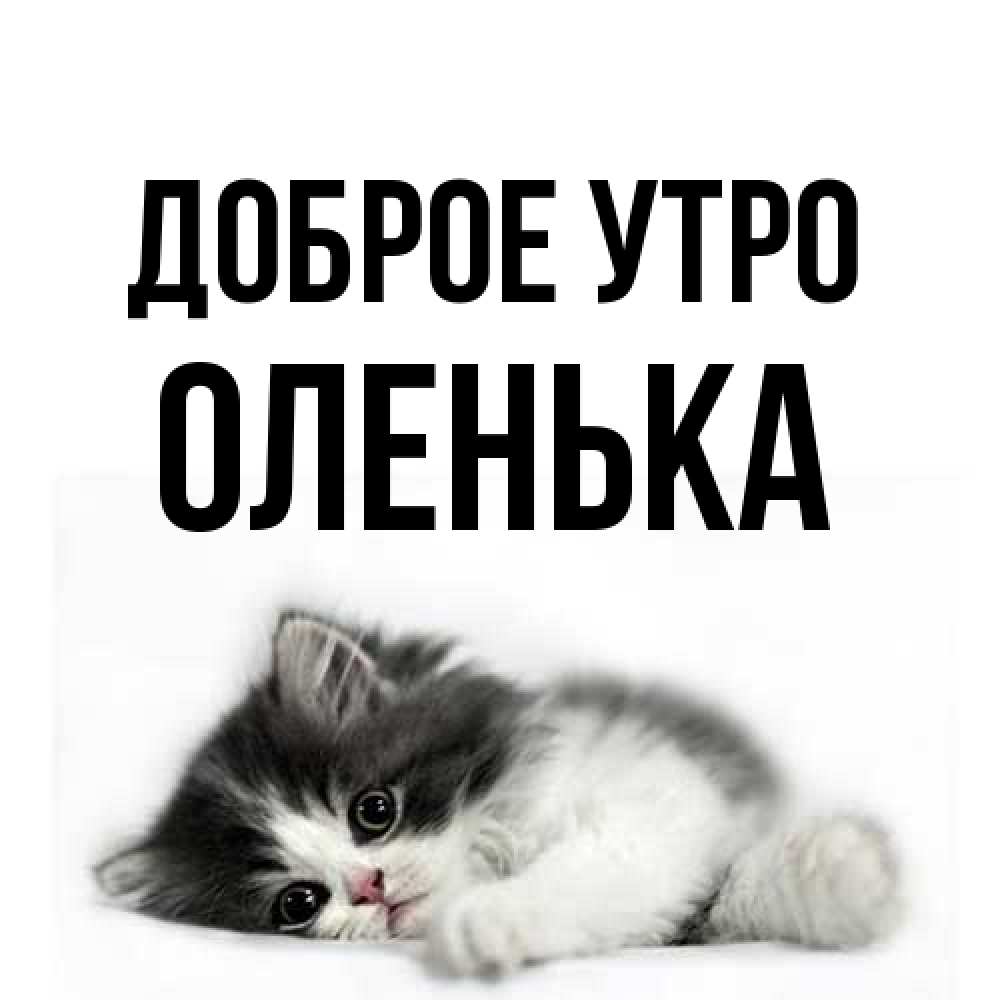 Открытка на каждый день с именем, Оленька Доброе утро кот лапки Прикольная открытка с пожеланием онлайн скачать бесплатно 