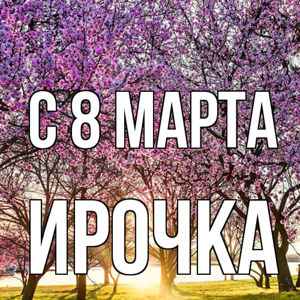 Открытка на каждый день с именем, Ирочка C 8 МАРТА международный женский день Прикольная открытка с пожеланием онлайн скачать бесплатно 