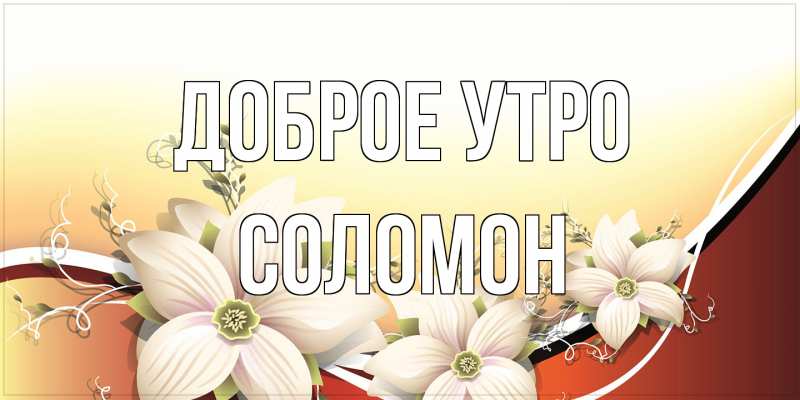 Картинка Доброе утро, Соломон