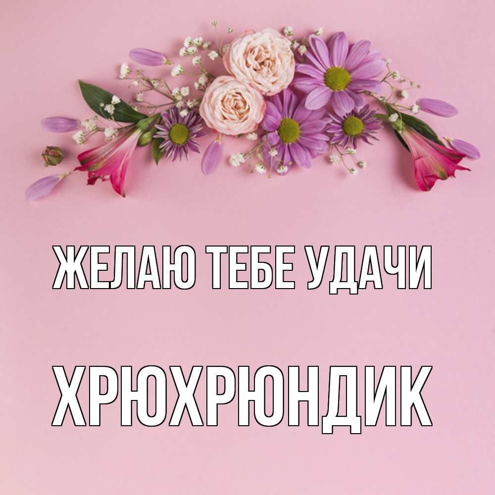 Открытка на каждый день с именем, Хрюхрюндик Желаю тебе удачи розовый фон Прикольная открытка с пожеланием онлайн скачать бесплатно 