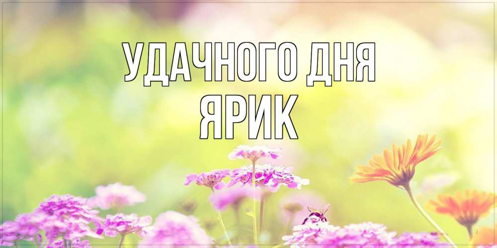 Открытка на каждый день с именем, Ярик Удачного дня красивая открытка с летней темой Прикольная открытка с пожеланием онлайн скачать бесплатно 