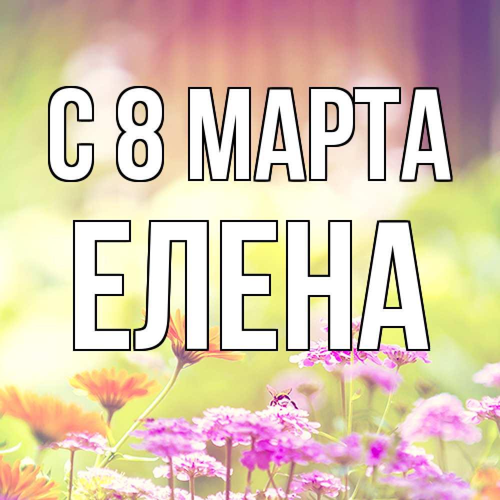 Открытка на каждый день с именем, Елена C 8 МАРТА цветы весна Прикольная открытка с пожеланием онлайн скачать бесплатно 