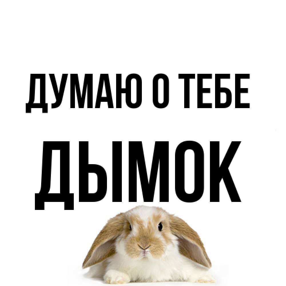 Открытка на каждый день с именем, Дымок Думаю о тебе подписать своими руками онлайн Прикольная открытка с пожеланием онлайн скачать бесплатно 