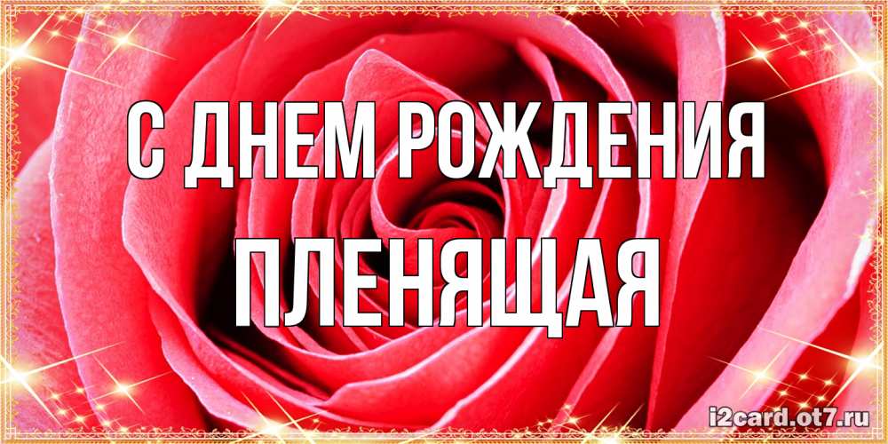 Открытка на каждый день с именем, пленящая С днем рождения розовая роза очень крупный бутон Прикольная открытка с пожеланием онлайн скачать бесплатно 