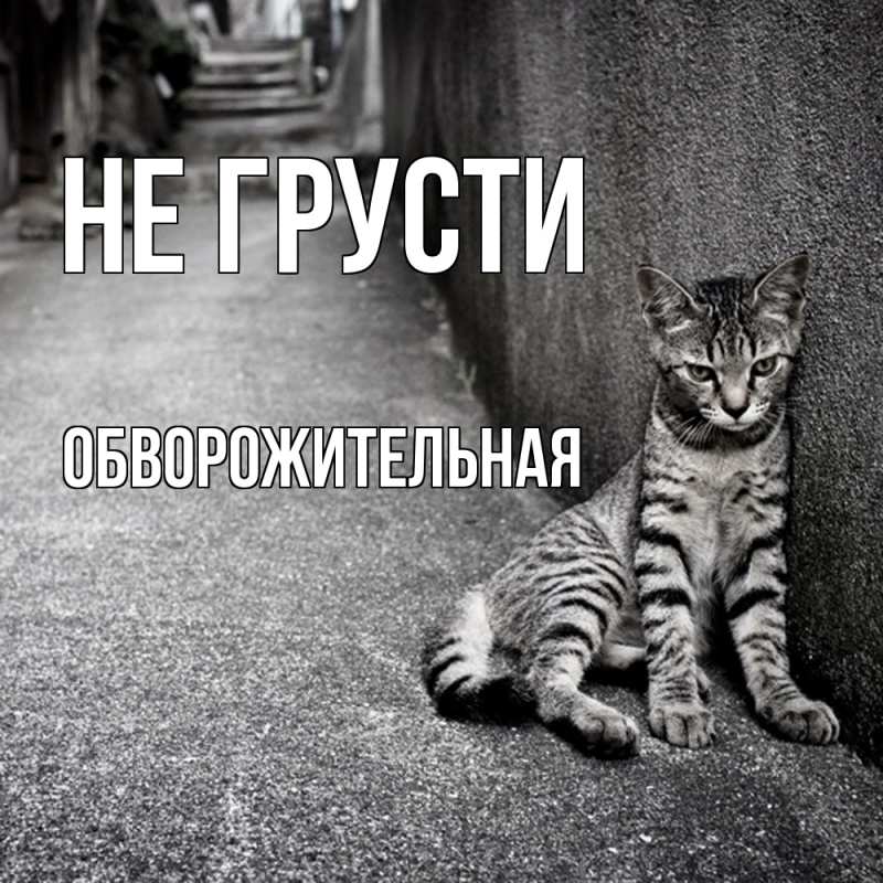 Картинка Не грусти, Обвоpожительная