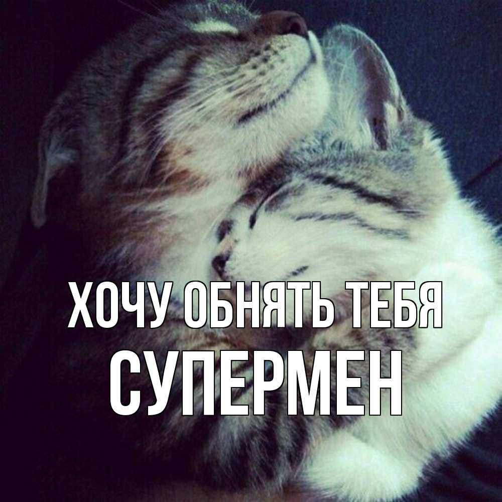 Открытка на каждый день с именем, Супермен Хочу обнять тебя полосатики Прикольная открытка с пожеланием онлайн скачать бесплатно 