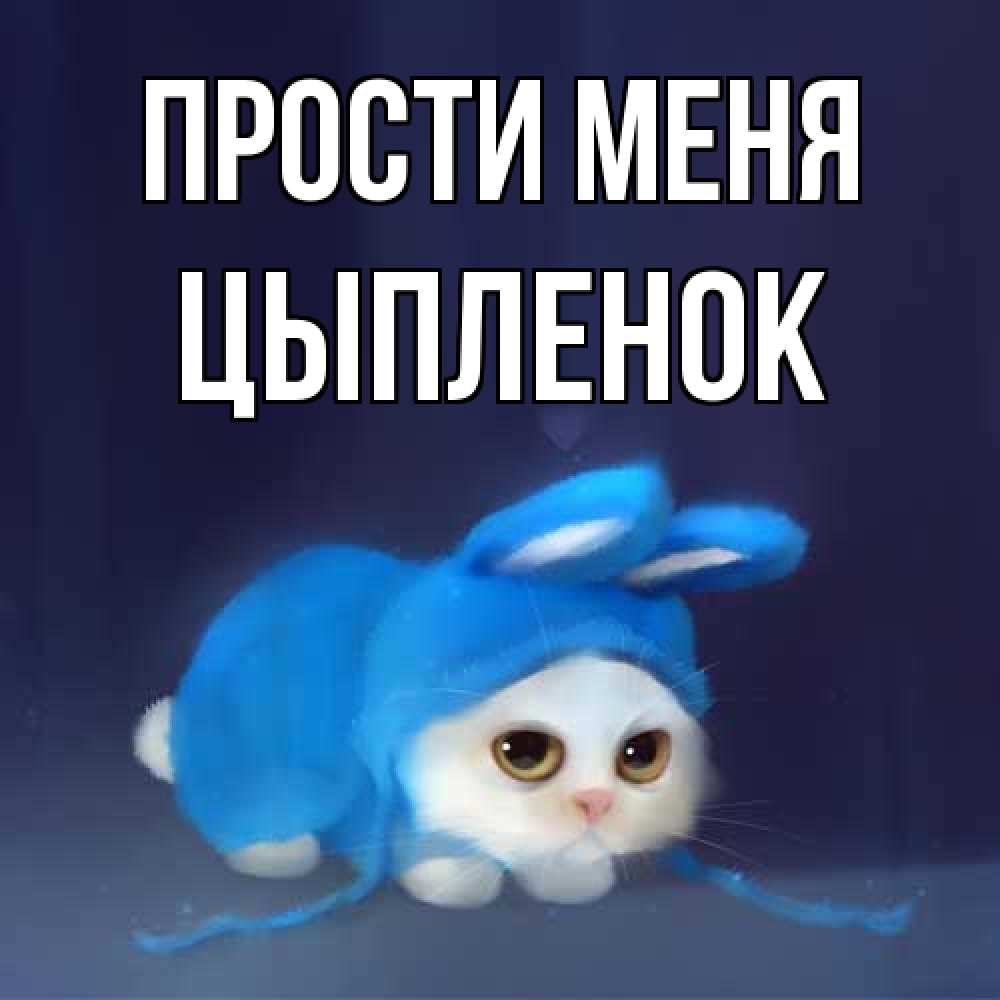 Открытка на каждый день с именем, Цыпленок Прости меня невинный котозай просит прощения Прикольная открытка с пожеланием онлайн скачать бесплатно 