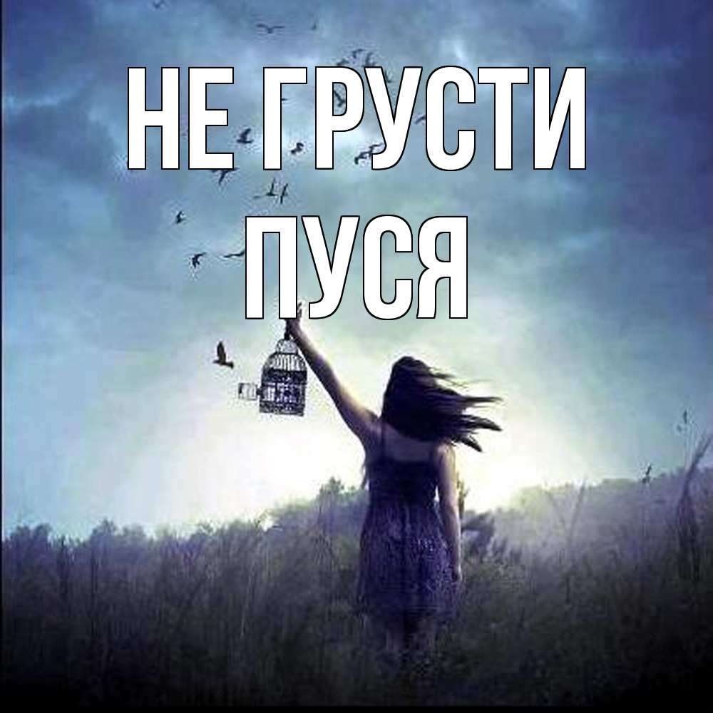 Открытка на каждый день с именем, Пуся Не грусти на волю Прикольная открытка с пожеланием онлайн скачать бесплатно 