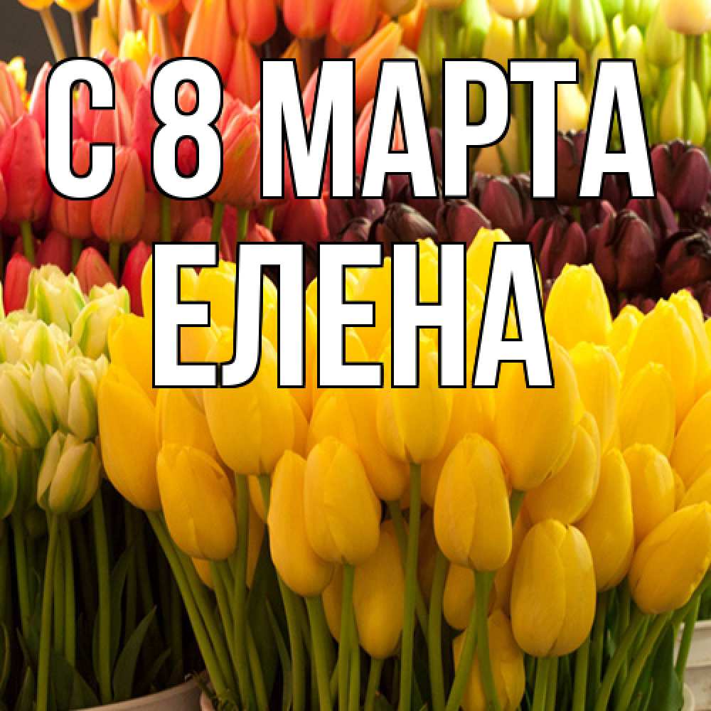 Открытка на каждый день с именем, Елена C 8 МАРТА цветы Прикольная открытка с пожеланием онлайн скачать бесплатно 