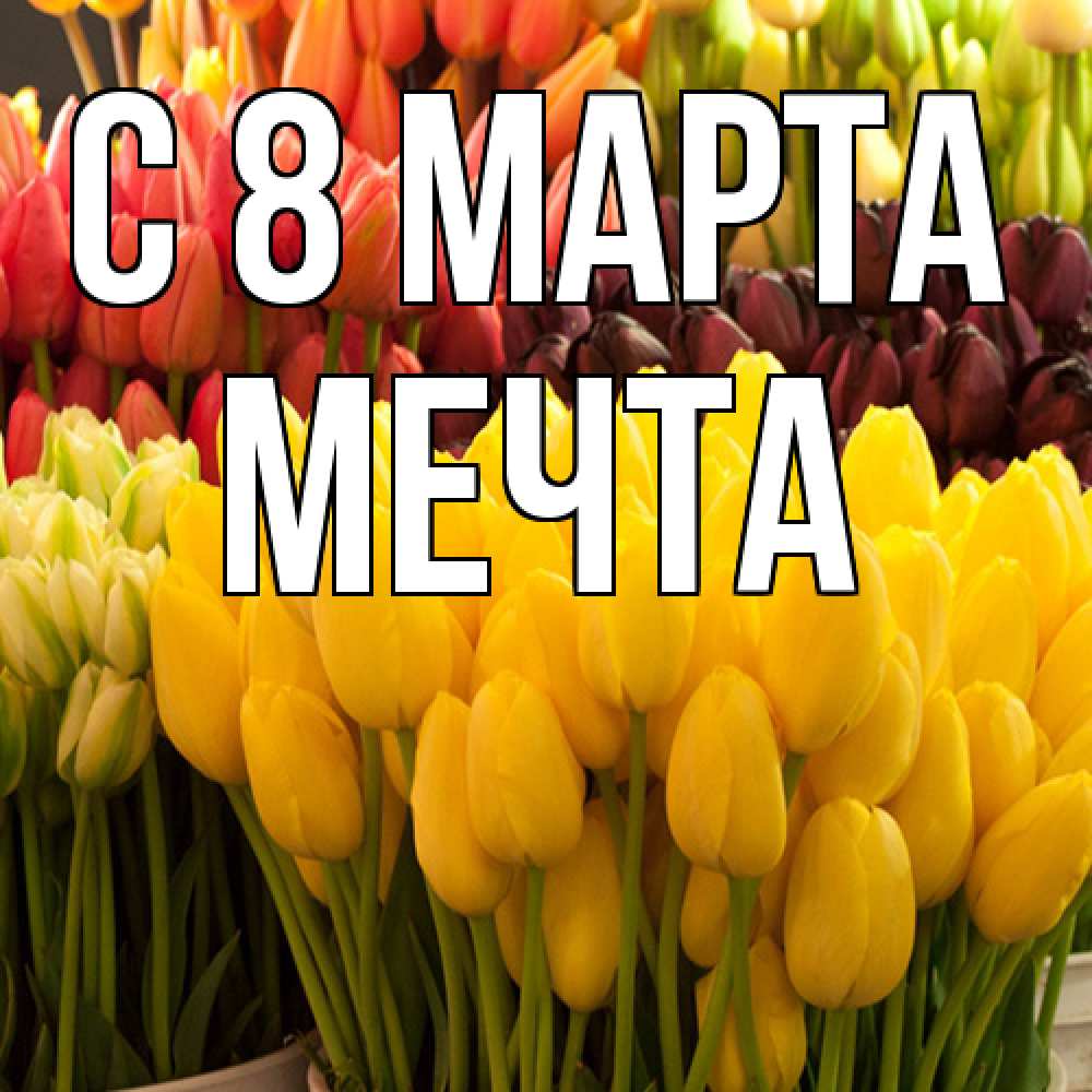 Открытка на каждый день с именем, мечта C 8 МАРТА цветы Прикольная открытка с пожеланием онлайн скачать бесплатно 