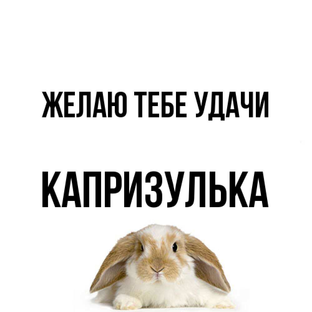 Открытка на каждый день с именем, капризулька Желаю тебе удачи открытки с произвольным текстом который можно вставить в открытку и создать ее самостоятельно бесплатно онлайн Прикольная открытка с пожеланием онлайн скачать бесплатно 