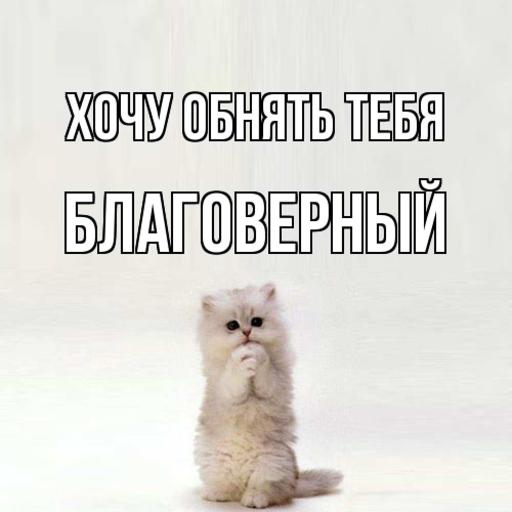Открытка на каждый день с именем, Благоверный Хочу обнять тебя открытки с креативными подписями Прикольная открытка с пожеланием онлайн скачать бесплатно 