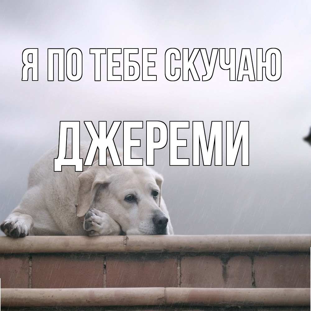 Открытка на каждый день с именем, Джереми Я по тебе скучаю ждет Прикольная открытка с пожеланием онлайн скачать бесплатно 