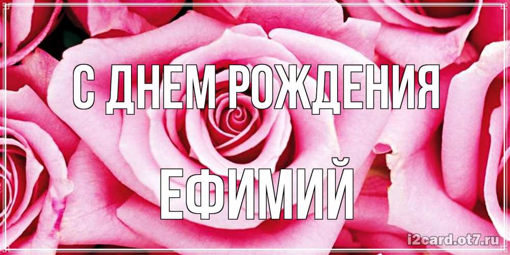 Открытка на каждый день с именем, Ефимий С днем рождения открытка с розовой розой на день рождения Прикольная открытка с пожеланием онлайн скачать бесплатно 