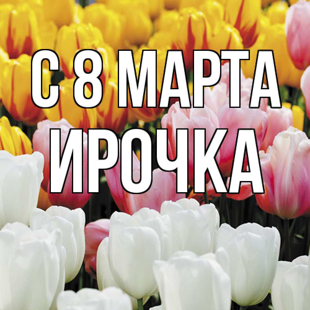 Открытка на каждый день с именем, Ирочка C 8 МАРТА разноцветные цветы Прикольная открытка с пожеланием онлайн скачать бесплатно 