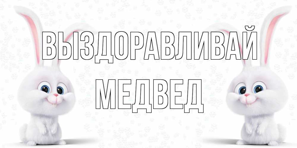 Открытка на каждый день с именем, Медвед Выздоравливай не болей с зайцем Прикольная открытка с пожеланием онлайн скачать бесплатно 