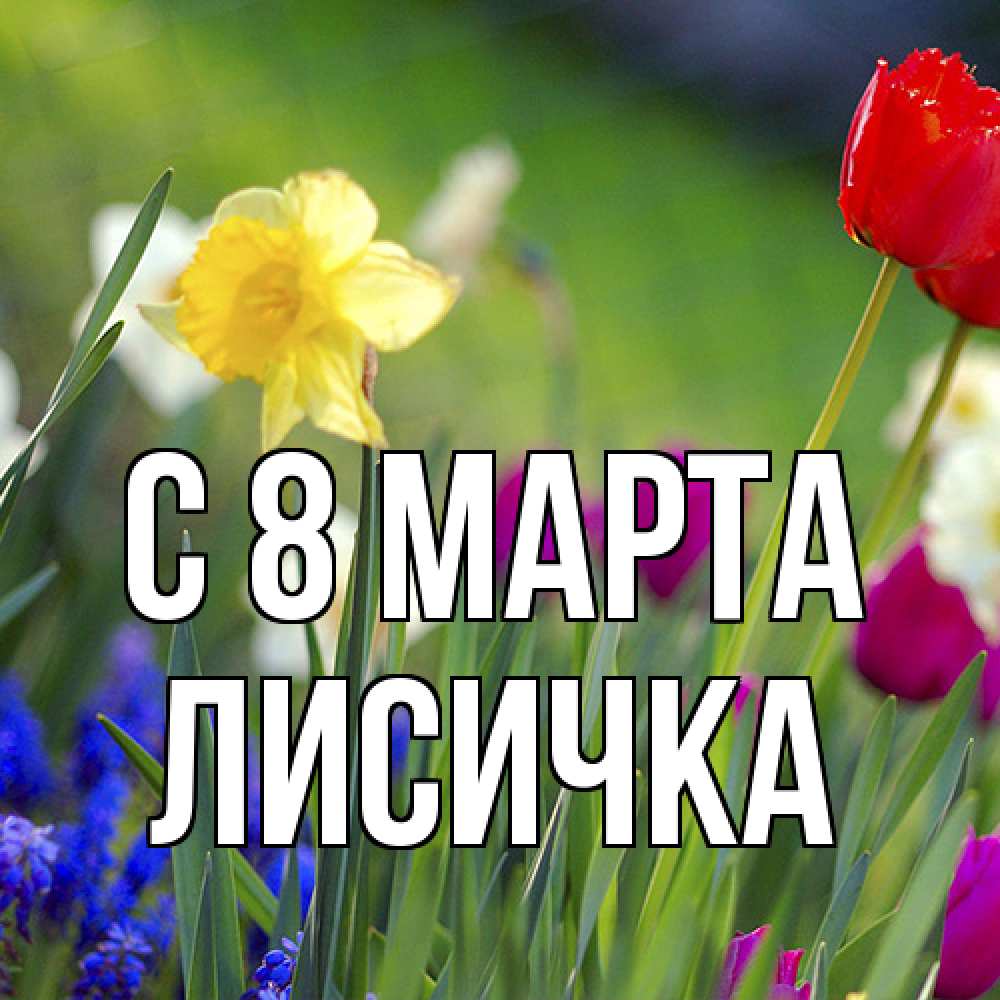 Открытка на каждый день с именем, Лисичка C 8 МАРТА международный женский день 3 Прикольная открытка с пожеланием онлайн скачать бесплатно 