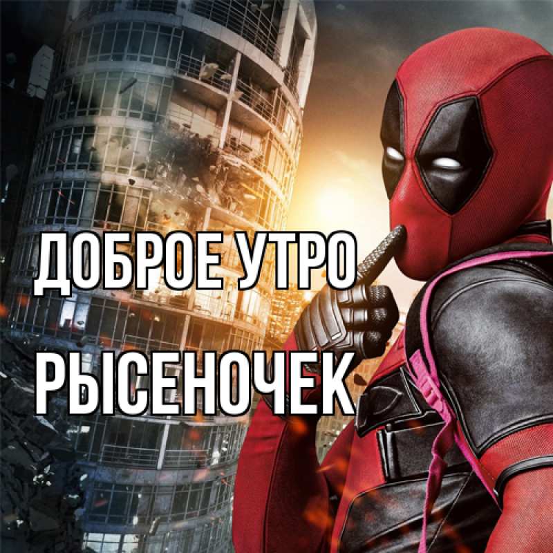Картинка Доброе утро, Рысеночек