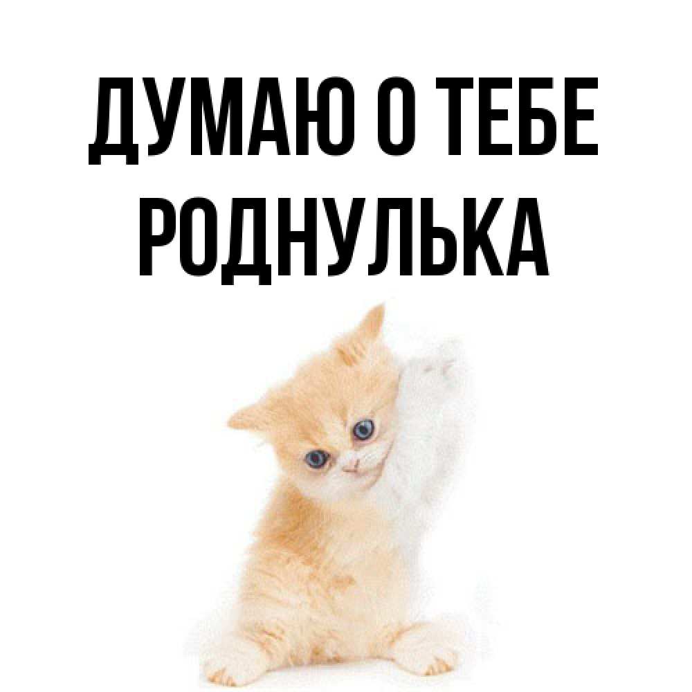 Открытка на каждый день с именем, Роднулька Думаю о тебе зверушки и милота Прикольная открытка с пожеланием онлайн скачать бесплатно 