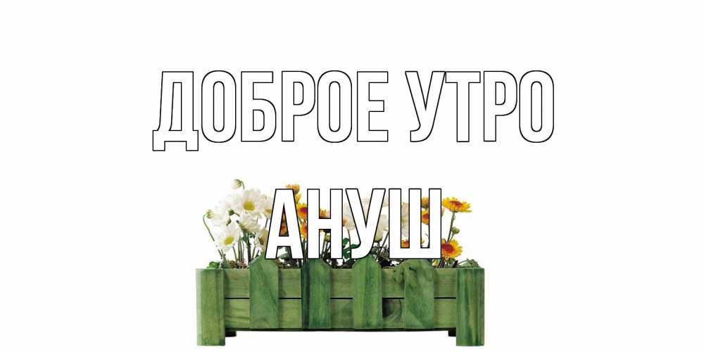Открытка на каждый день с именем, Ануш Доброе утро цветы Прикольная открытка с пожеланием онлайн скачать бесплатно 