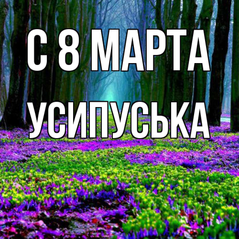 Открытка на каждый день с именем, усипуська C 8 МАРТА фиолетовые цветы в лесу 1 Прикольная открытка с пожеланием онлайн скачать бесплатно 