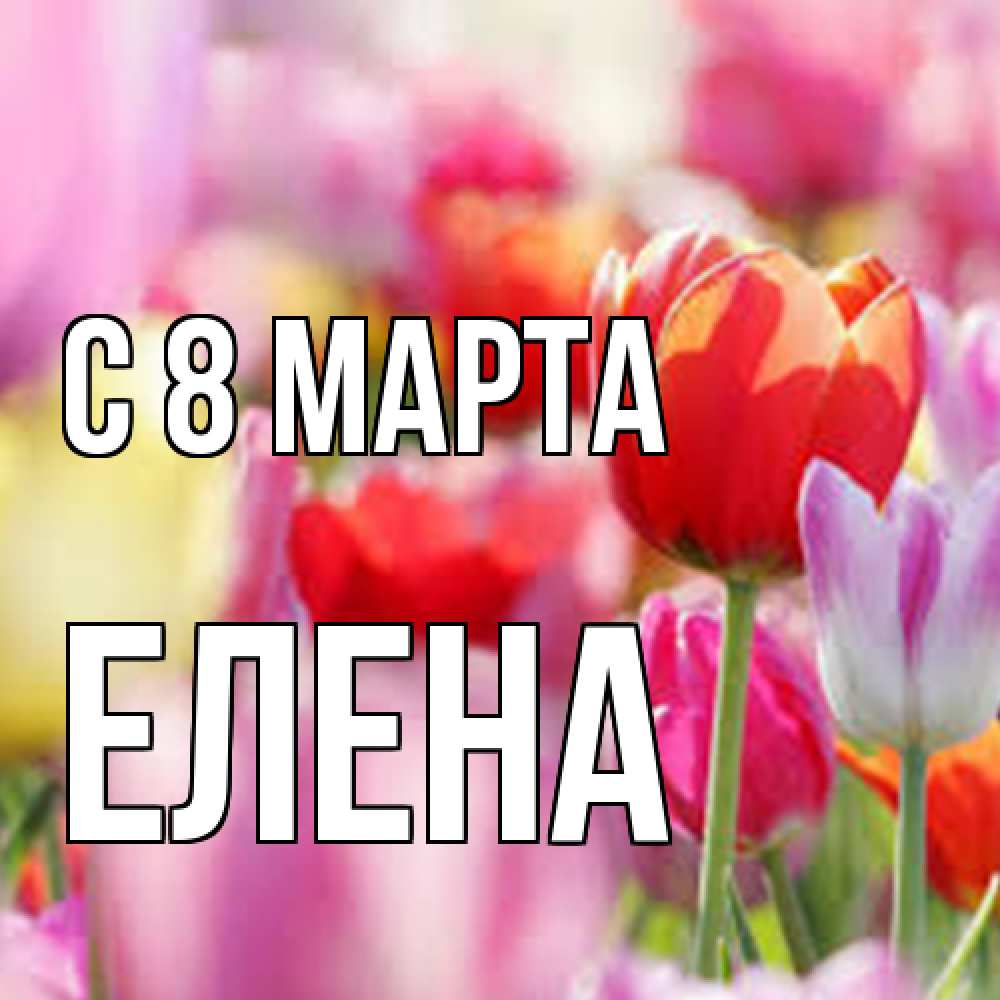 Открытка на каждый день с именем, Елена C 8 МАРТА на международный женский день 2 Прикольная открытка с пожеланием онлайн скачать бесплатно 