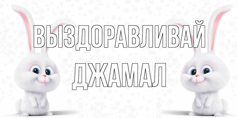 Открытка на каждый день с именем, Джамал Выздоравливай не болей с зайцем Прикольная открытка с пожеланием онлайн скачать бесплатно 