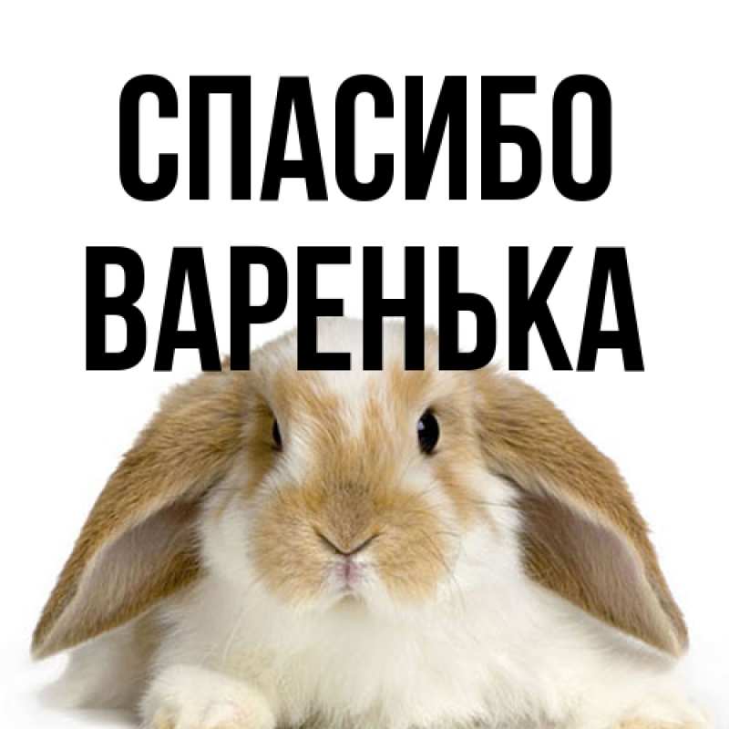 Картинка Спасибо, Варенька