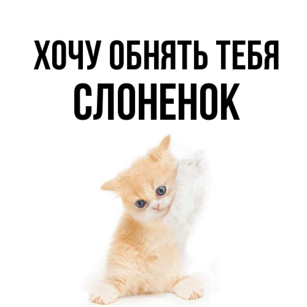 Открытка на каждый день с именем, Слоненок Хочу обнять тебя я хочу очень скорее обнимаешек Прикольная открытка с пожеланием онлайн скачать бесплатно 