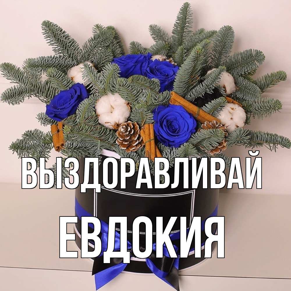 Открытка на каждый день с именем, Евдокия Выздоравливай короче кто то загрузил эти шишки Прикольная открытка с пожеланием онлайн скачать бесплатно 