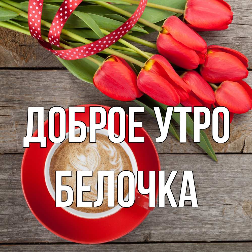 Открытка на каждый день с именем, Белочка Доброе утро красное блюдце Прикольная открытка с пожеланием онлайн скачать бесплатно 